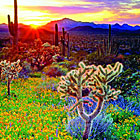Off the Beaten Path - Custom Utah Tours