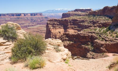 View from the Shafer Trail over Canyonlands National Park