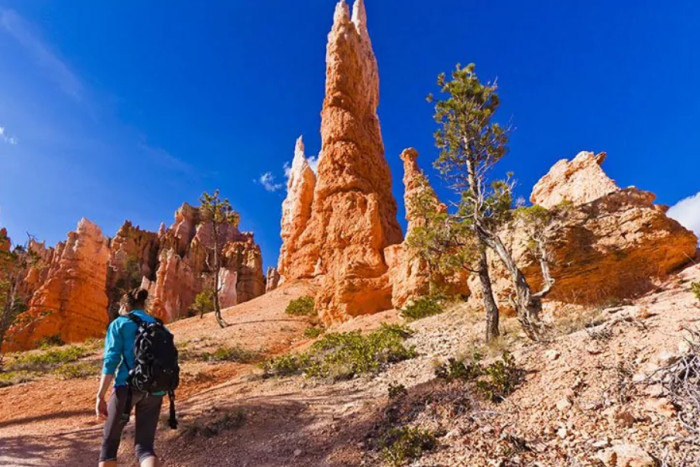 Wildland Trekking Company — , 