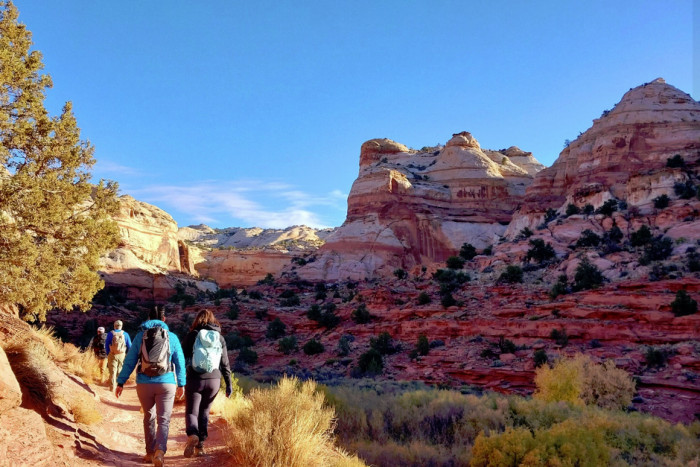 Wildland Trekking Company — , 