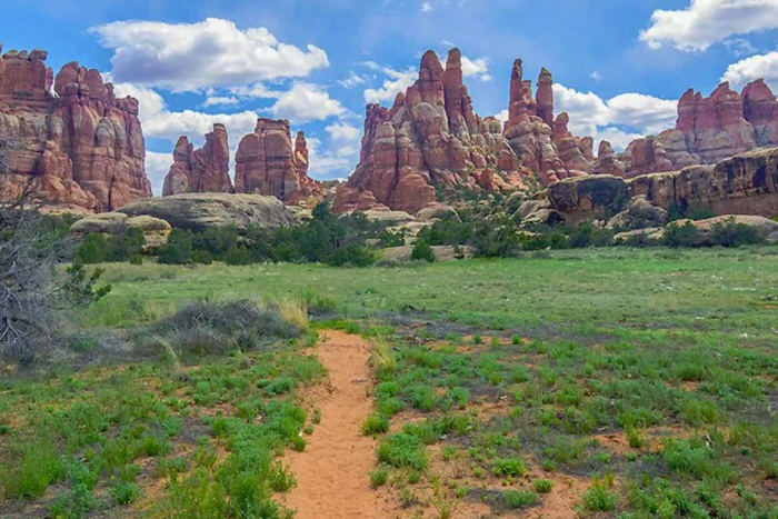 Wildland Trekking Company — Zion National Park, UT