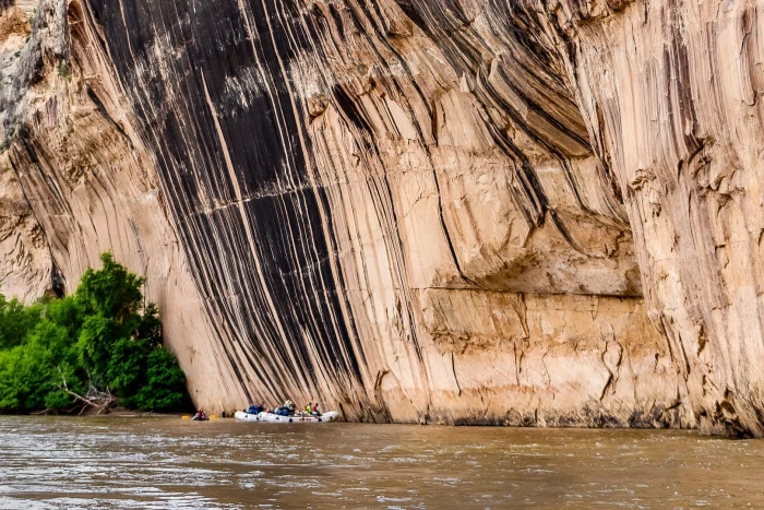 Mild To Wild Rafting & Jeep Tours — , 