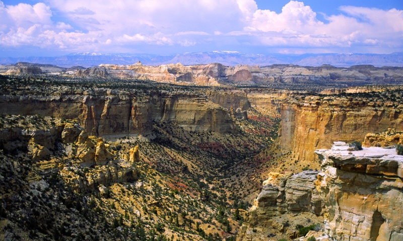 Sandstone Canyons of San Rafael Swell