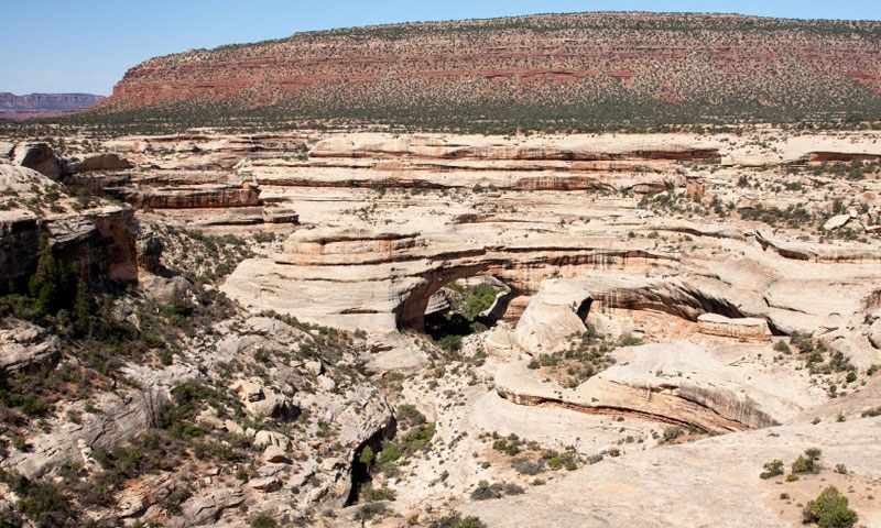 Sipapu Bridge at Natural Bridges Monument