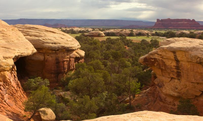 The Needles District in Canyonlands National Park