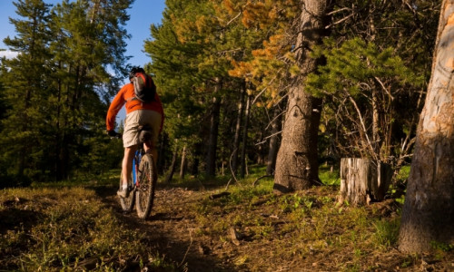 Biking