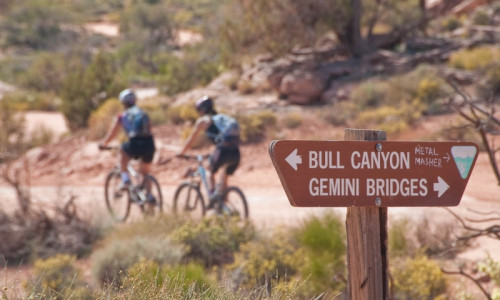 Mountain Biking
