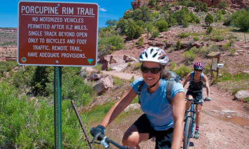 Porcupine Rim Trail