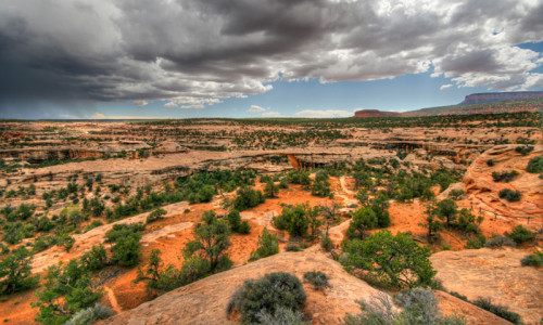 Natural Bridges National Monument