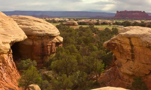 Needles Overlook Road