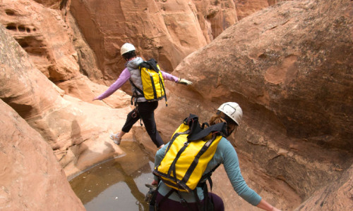 Guided Tours