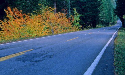 Bus Tours & Charters